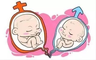 代怀双胞胎生男孩